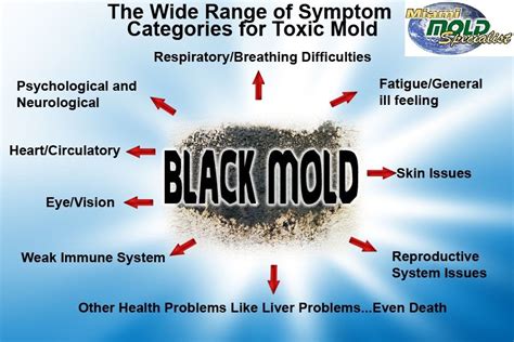 May 27, 2021 · black fungus exclusive: The most common #black #mold #Toxic symptoms and #health ...