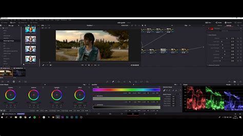 Davinci Resolve Color Grading Comparison Tokyofer