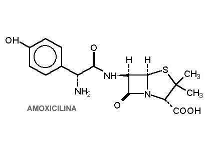 La Amocxicilina La Amoxicilina
