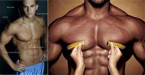 How To Build Bigger Chest Muscles Broscience