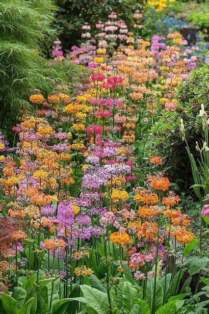 Just a ferry ride away from plymouth it is a haven of serenity and peace, and the perfect place for a. 24 Woodland Garden Design - fancydecors | Woodland garden ...