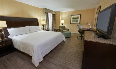 Hilton Garden Inn Toronto Downtown Hotel Rooms