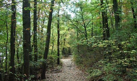 Best Hiking Trails in Metro Detroit and Ann Arbor - Detroit and Ann