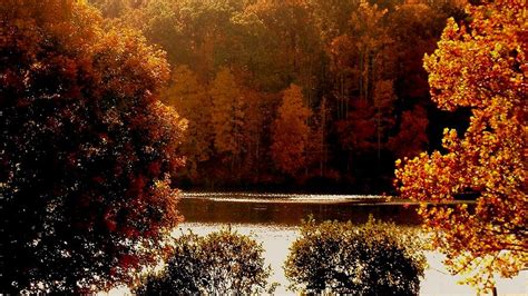 Chris Greene Lake In Autumn 2018 Photograph By Arlane Crump Pixels