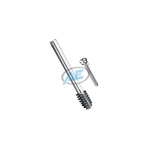 Surgical Type 125mm Dynamic Hip Screw Screw With Compression For