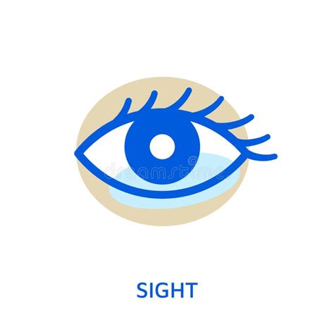 Eye Organ Of Sense Sight Vision Icon Stock Illustration