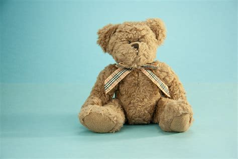 Funny Teddy Bear Placed On Blue Surface · Free Stock Photo