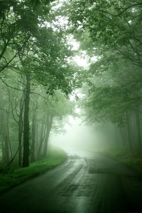 [49+] HD Phone Wallpapers Nature on WallpaperSafari