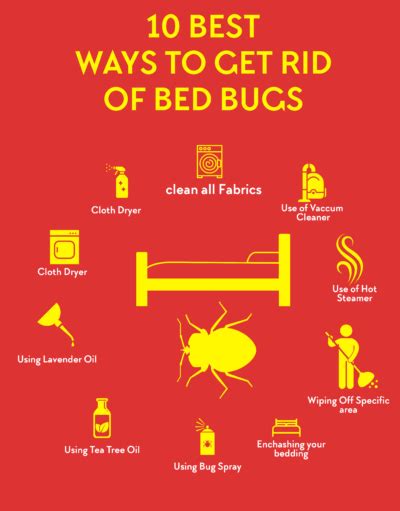 Best Bed Bug Spray Infographic Thepestkillers