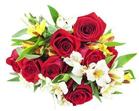 Classic Long Stemmed Red Rose And Alstromeria Bouquet The Kabloom