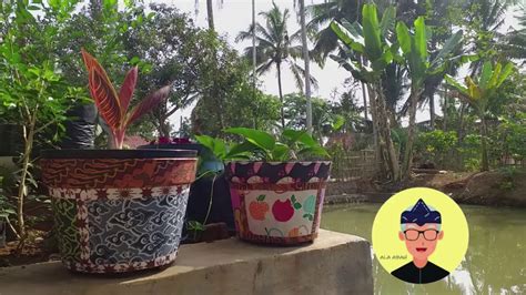 Bunga kemuning merupakan tumbuhan tropis yang terkenal diindonesia, bunga yang satu ini juga memiliki wangi yang tajam terlebih pada malam hari, warna nya yang putih memberi kesan sejuk. TUTORIAL KREASI POT HIASAN BATIK | CARA MEMBUAT POT HIAS ...