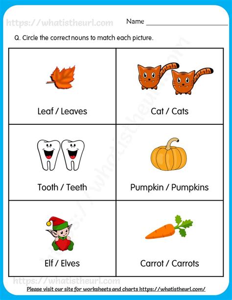 Plural And Singular Nouns Worksheet Grade 1
