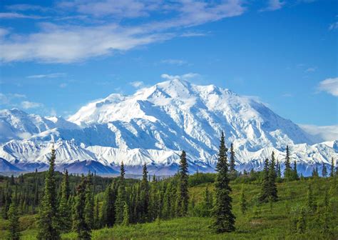 Best Things To Do In Denali National Park In Summer