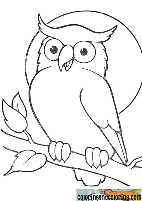 Simple Owl Drawing At Getdrawings Free Download