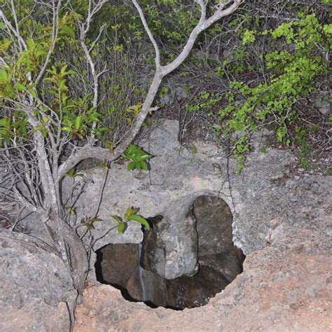 Cave Tours Bonaire Visit The Caves Of Bonaire