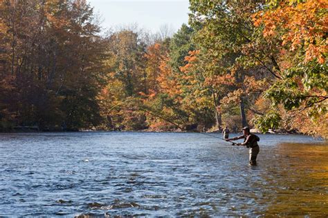 5 Tips For Fall Fly Fishing Hatch Magazine Fly Fishing Etc