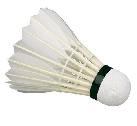 White Badminton Shuttlecock Packaging Size 10 Pieces Per Box Rs 120 Box Id 21419675412
