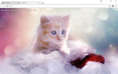 Cute Cats And Kittens New Tab Wallpapers Themes Chrome Web