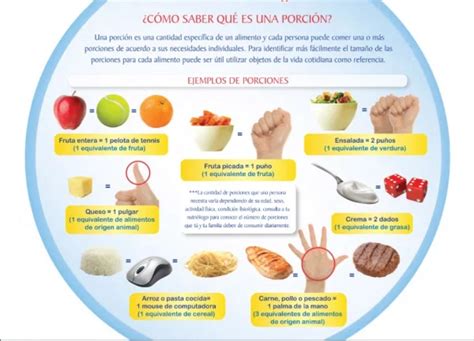 Porciones Adecuadas De Alimentos Alimentos Nutrición Salud Y Nutricion