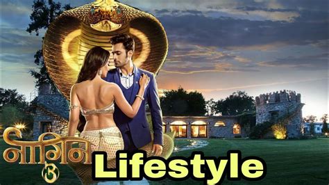 Who better known for his portrayal mahir sehgal in 'naagin 3'. Pearl V Puri ( Naagin 3 Mahir Sehgal ) Lifestyle ...