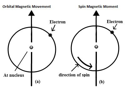 Spin Magnetic Moment Does An Electron Really Spin