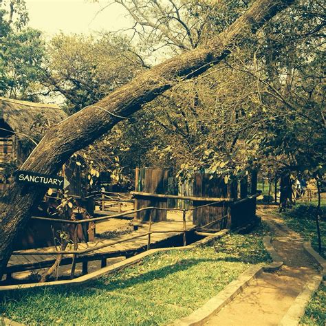 Nature Sanctuary Lilongwe Atualizado 2023 O Que Saber Antes De Ir