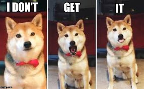Image Tagged In 3 Shibas Imgflip