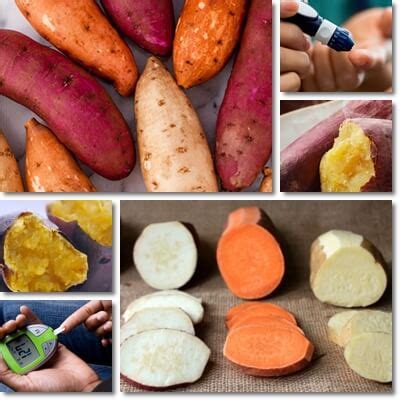 We did not find results for: Can Diabetics Eat Sweet Potatoes? - NatureWord