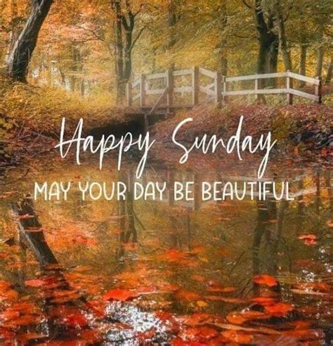 Pin By Evelyn Switzer On Thanksgiving Fall Good Morning Happy Sunday