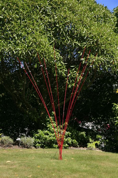 Windsticks Kinetic Wind Sculpture And Bird Feeder 5 X 2m 85