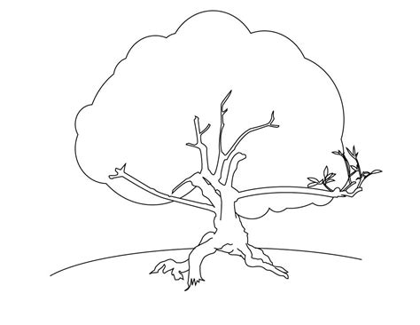 This coloring page features a huge banyan tree. Free Printable Tree Coloring Pages For Kids