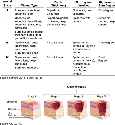 4 Summary Of Wound Depth Classification Download Scientific Diagram