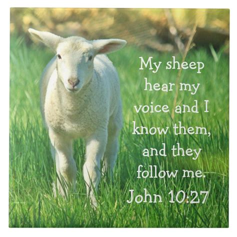 My Sheep Hear My Voice Bible Verse John 1027 Tile Zazzle Bible