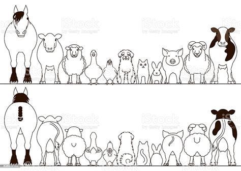 Download Farm Animals Border Set Front View And Rear View Stock Illustration - Download Image Now - iStock