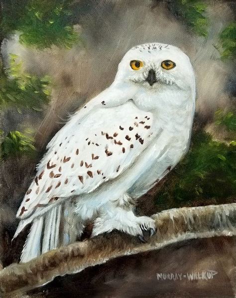 Original Snowy Owl Oil Painting Raptor Wildlife Art Bird 8x10 Mmw Realism