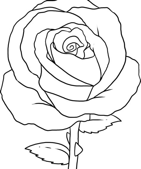 who rose Colouring Pages