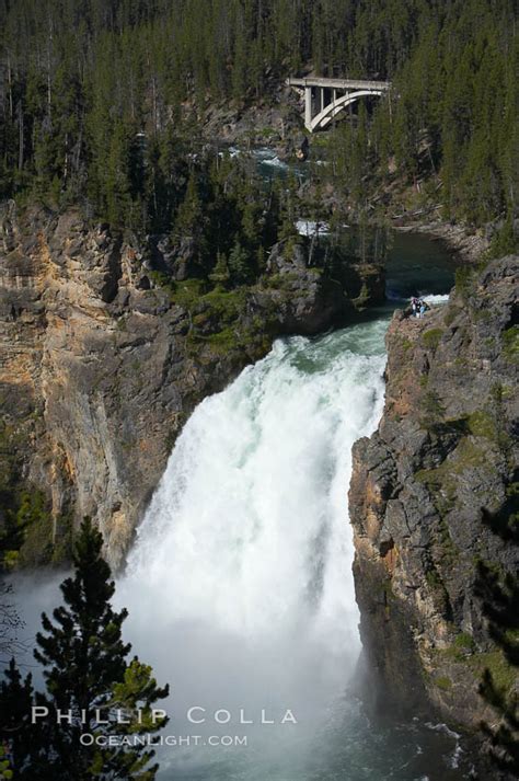 Upper Yellowstone Falls Grand Canyon Of The Yellowstone Yellowstone