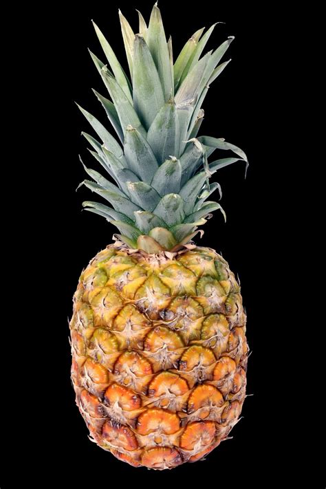 Pineapple Free Stock Photo Public Domain Pictures