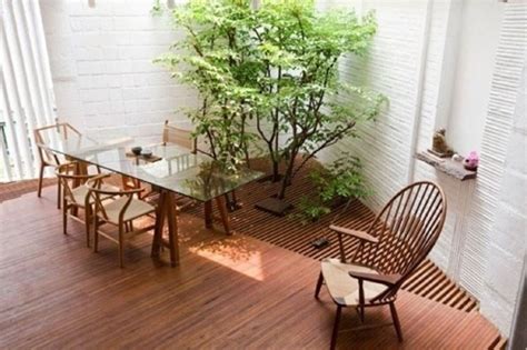 La sala da pranzo verde, che aveva rimpiazzato un giardino di rastrelli nel 1773, è la prima stanza dell'ala nord del palazzo di caterina, disegnata da cameron per il futuro zar paolo e la moglie. Piante finte da interno - Piante finte - Come scegliere ...