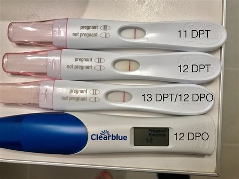 Pregnancy Test Dpo 12 Pregnancy Test