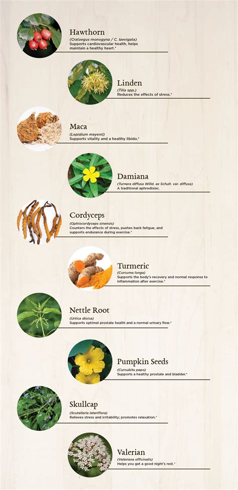 Pin On Herbal Remedies