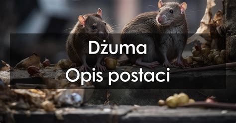 Dżuma opis postaci charakterystyka bohaterów cechy