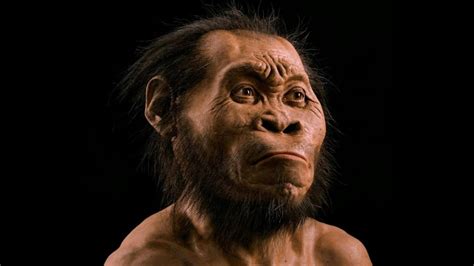 South African Scientists Make More Startling Discoveries Of Homo Naledi