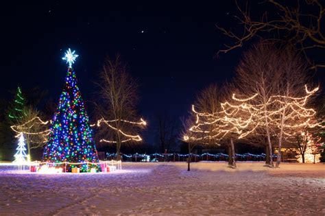 Free Images Winter Night Village Holiday Christmas Tree Season