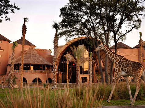 Resort Review Disneys Animal Kingdom Lodge Jambo House — Power Travel