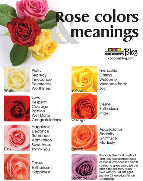 Rose Colors And Meanings