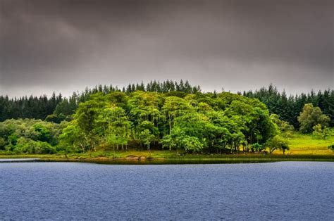 Idyllic Island In The Lake With Green Trees Scotland Stock Image