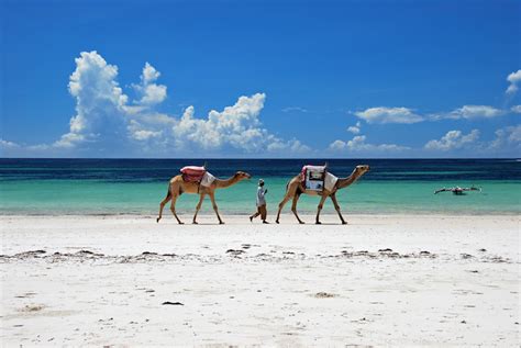 10 Best Beaches In Kenya Map Touropia