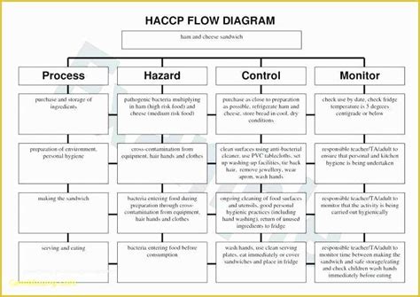 Haccp Templates Free Of Haccp Flow Diagram Template Flow Chart Template