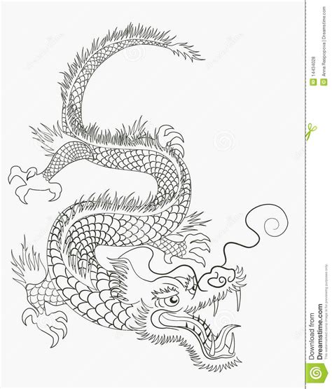 Simple Chinese Dragon Drawing At Explore